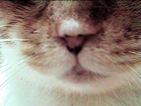 �@��������